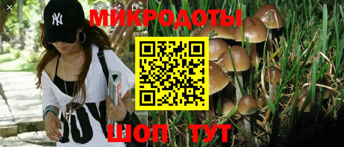 Галлюциногенные грибы мицелий Электрогорск