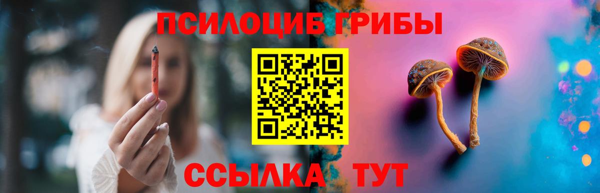 Электрогорск  что такое   Вход с VPN  Псилоцибиновые грибы мухоморы 